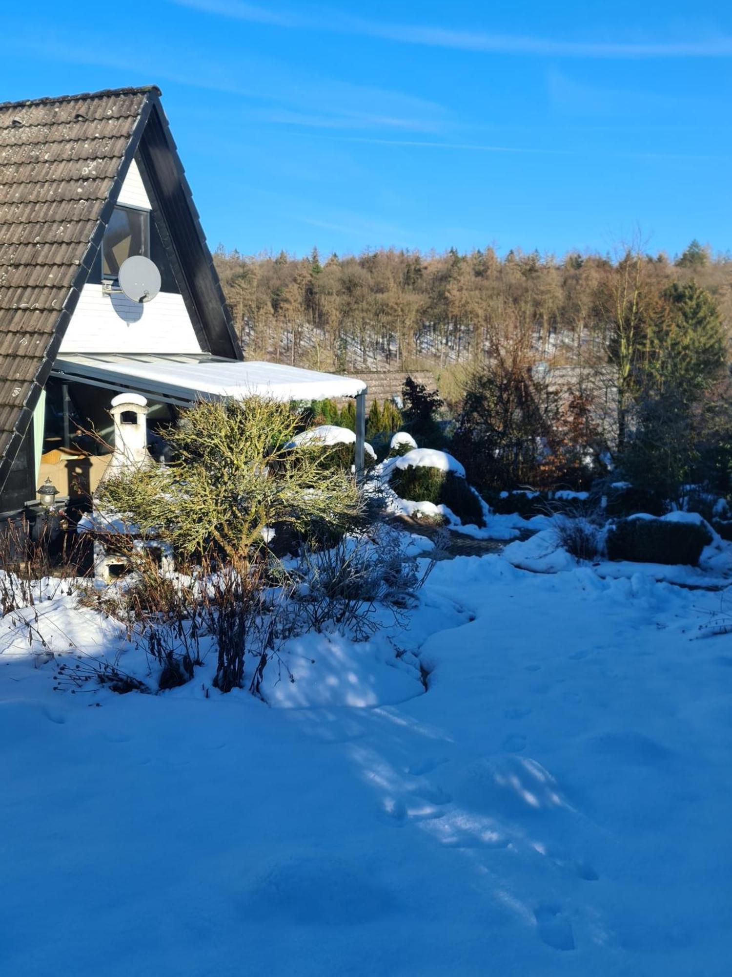 Haus Rosengarten Mit Sauna Бад-Вюнненберг Экстерьер фото